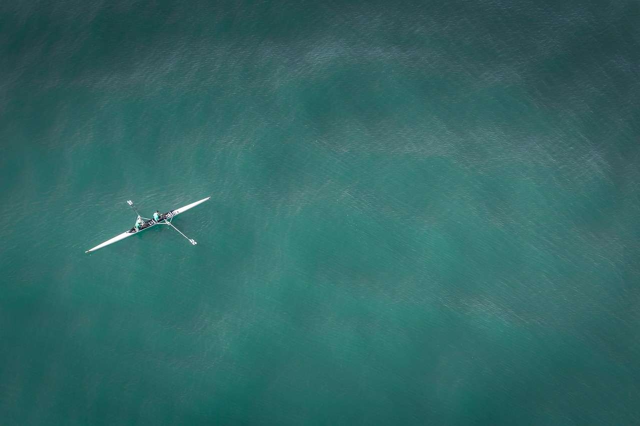 Play99exch, Sky247, Allpaanel ID