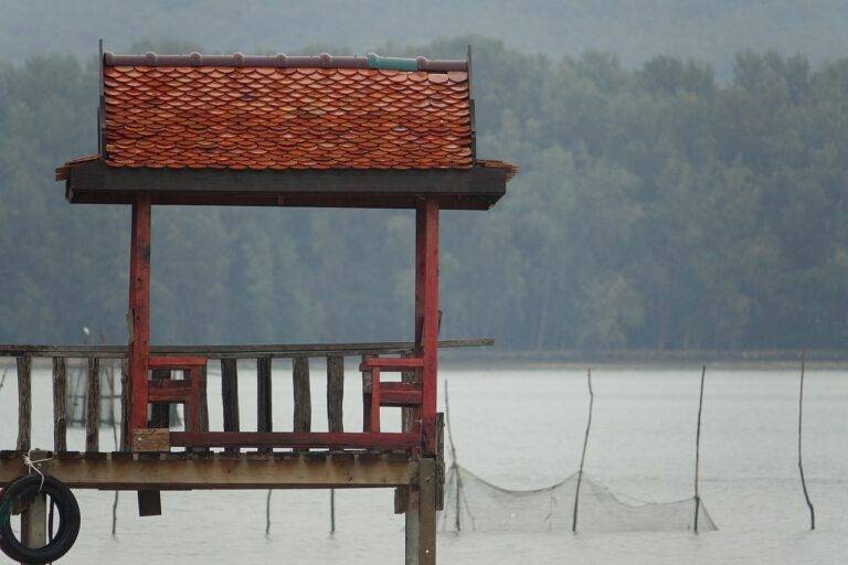 Creating a Sustainable and Eco-Friendly Home Office