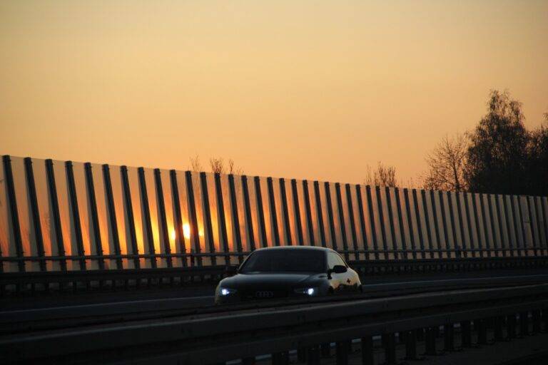 Exploring the Potential of Gene Editing Technology