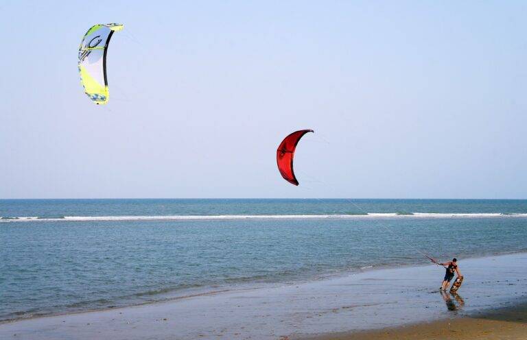 The Cultural Impact of IPL on Indian Society