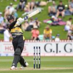 Playexch Review: 24/7 Betting Exchange Platform, Features, and Safety